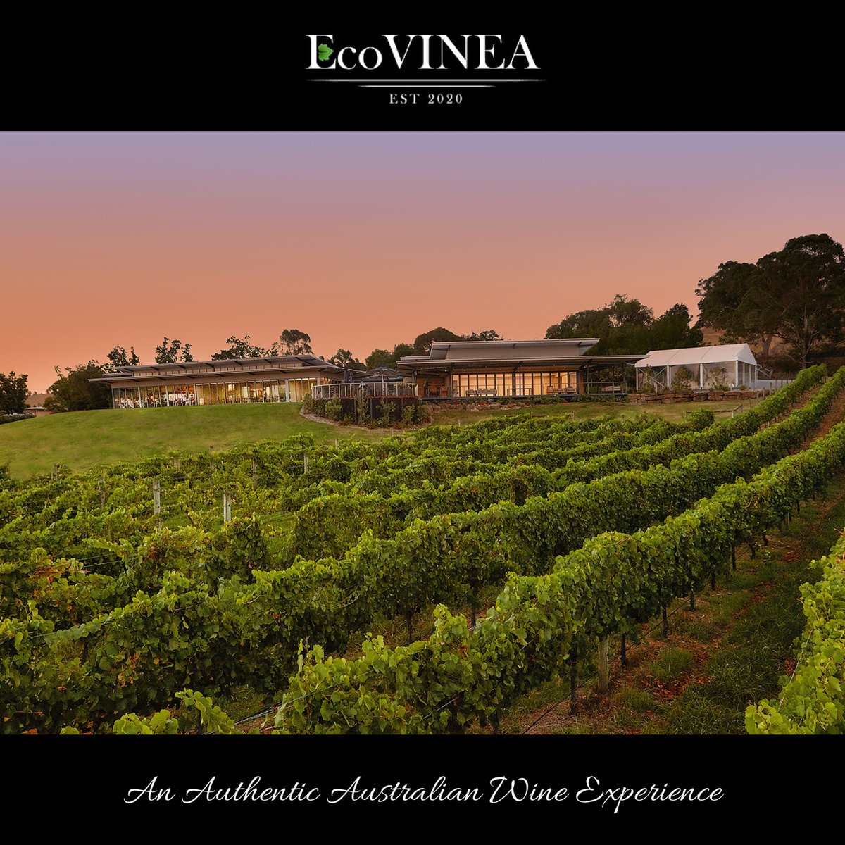 “Port Phillip Wine zone includes five regions clustered around Melbourne, Victoria. The climate closely resembles Bordeaux, yet it is more commonly planted with Burgundy wine varieties like Pinot noir and Chardonnay.” 

EcoVinea provides exclusive small-batch Australian wines.