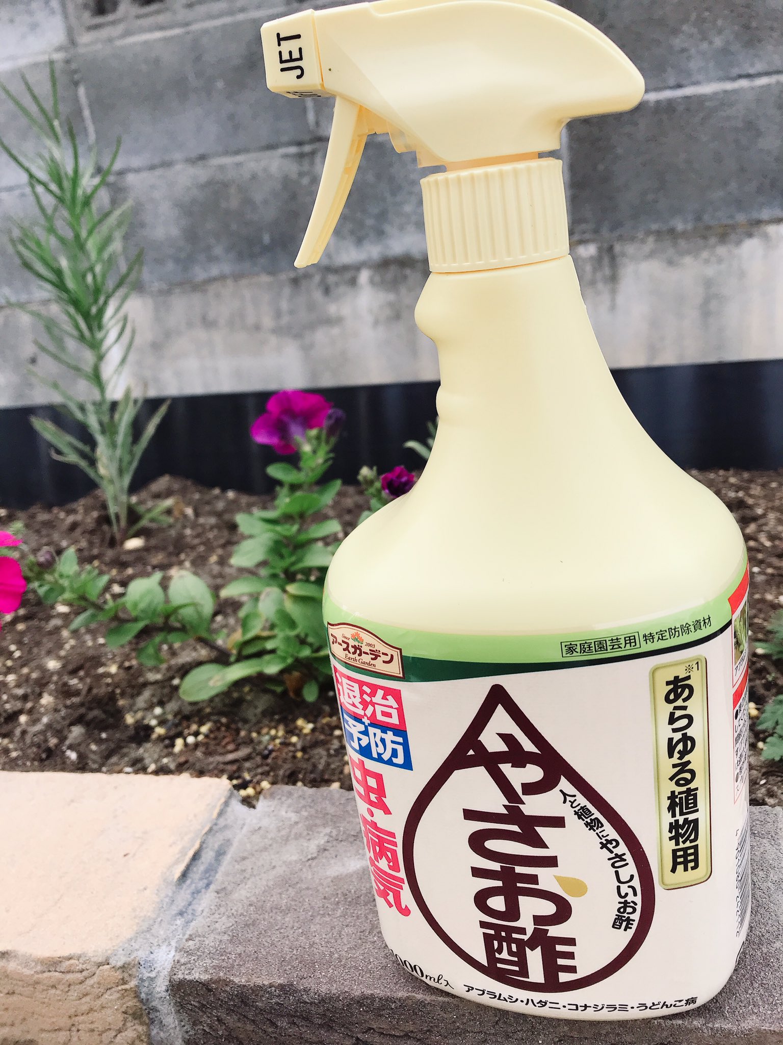 やさお酢 Twitter Search Twitter