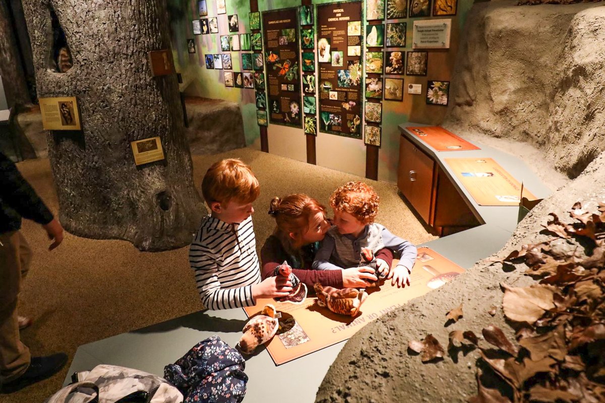 TexasKidsAdven's tweet photo. Whether you are just driving through or are staying for the weekend in #Waco, the Mayborn Museum Complex features both natural science and cultural history exhibits. Find more information here. → https://t.co/cKLNXNOY0W #cityofwaco #MaybornMuseum #traveltex https://t.co/fAUZMOxqYa