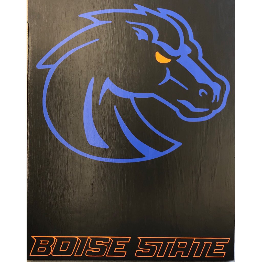 Meggsss14's tweet photo. 💥FOR SALE💥 •Boise State Blackout Boards• They come with blue and orange bags💙🧡 along with all black hardware🖤 The clips keep the boards together for easy storage and when being carried. Message me for pricing and availability! https://t.co/QVoZvt9XIe