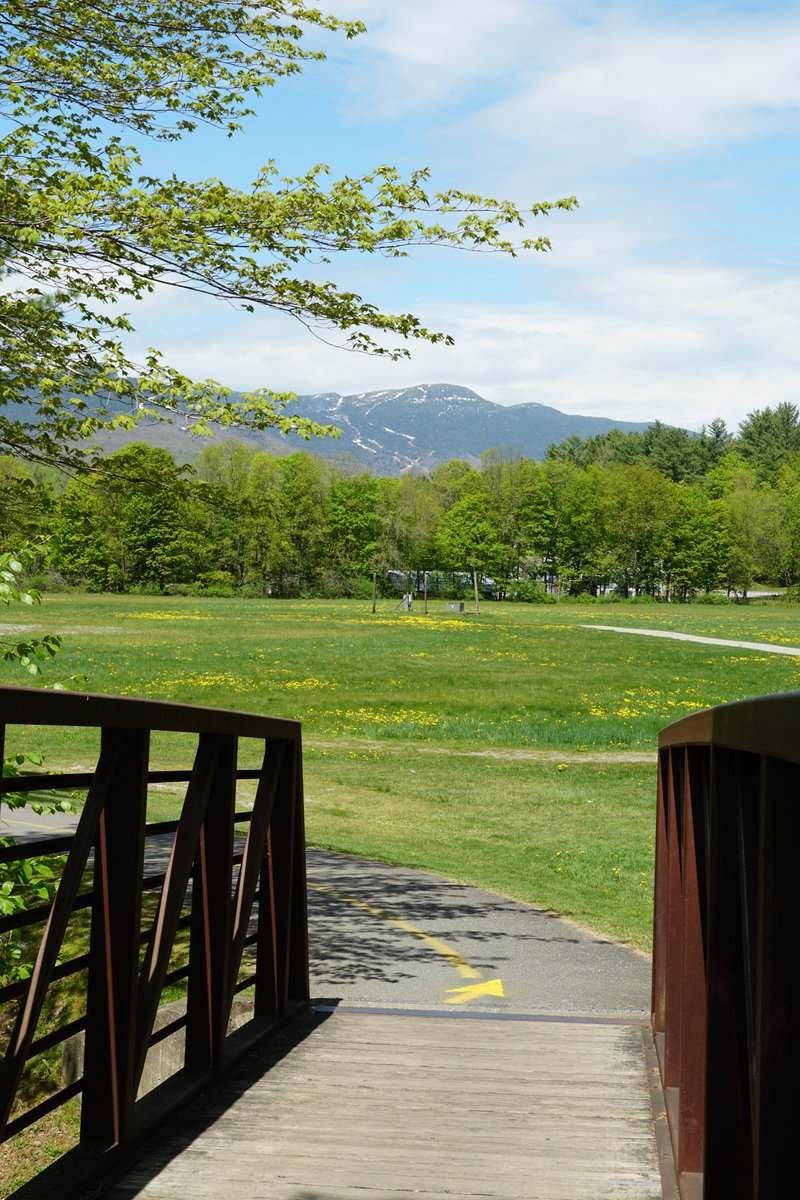 gostowe's tweet photo. Spring looks good on these distinctive Stowe, Vermont scenes. #stowescenes #springintostowe #gostowe #stowe #stowevt #vermont #vt #thisisvt #bikepath #recpath #StoweRecPath #coveredbridge #mtmansfield https://t.co/Vys3nKyWGw