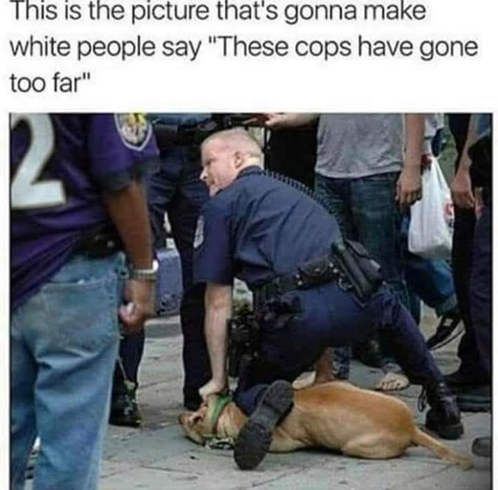 ForneyMark's tweet image. 