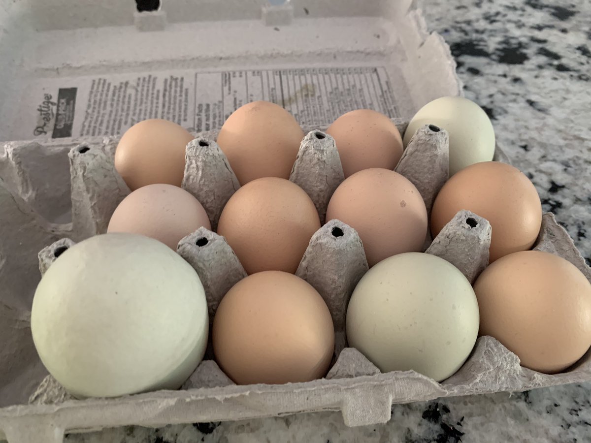 One is a bit bigger than the rest...