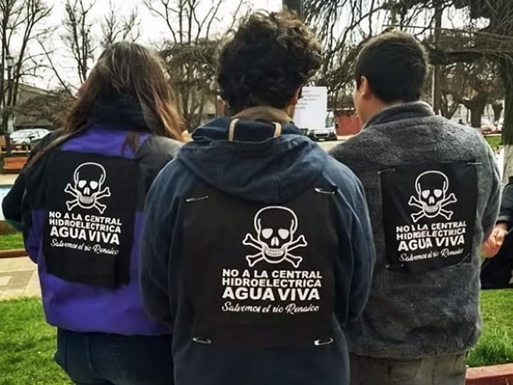 Salvemos el río Renaico tweet media