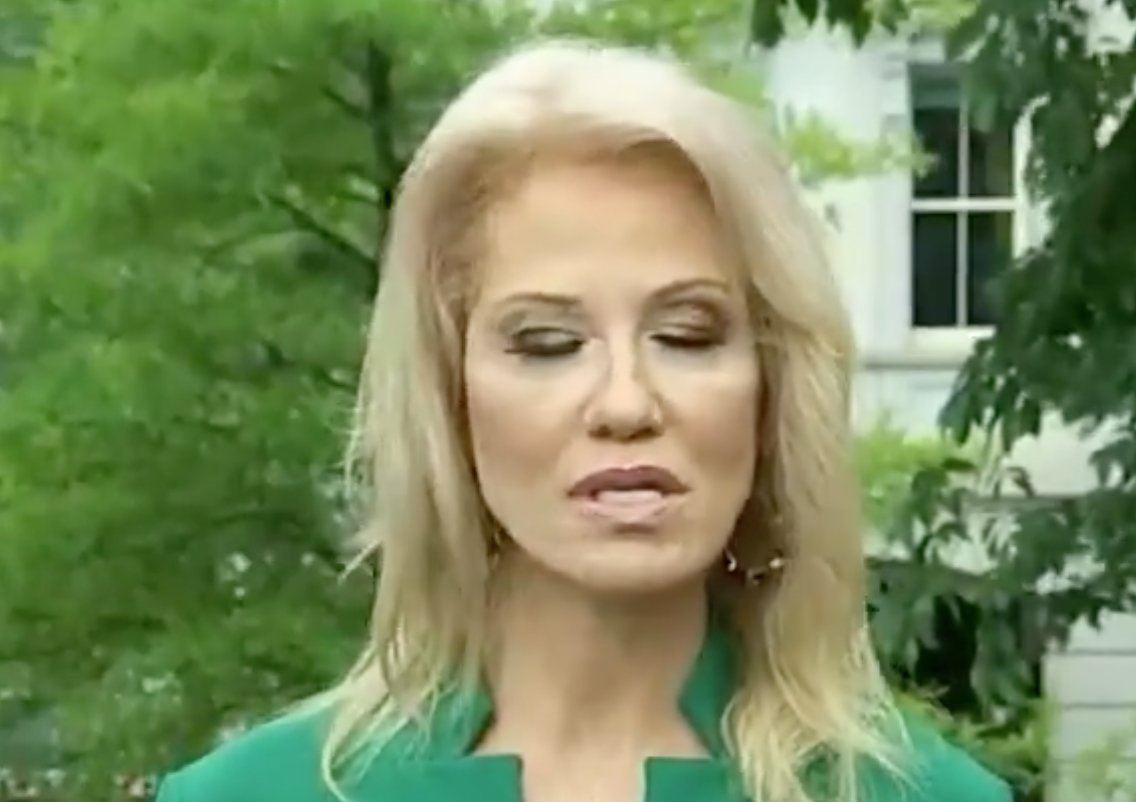4/ Just after she says, "polls", Ms. Conway displays an extended eyelid closure (0:02). This is not a natural blink, but a manifestation of one form of decreased eye contact. #BodyLanguage  #BodyLanguageExpert  #EmotionalIntelligence