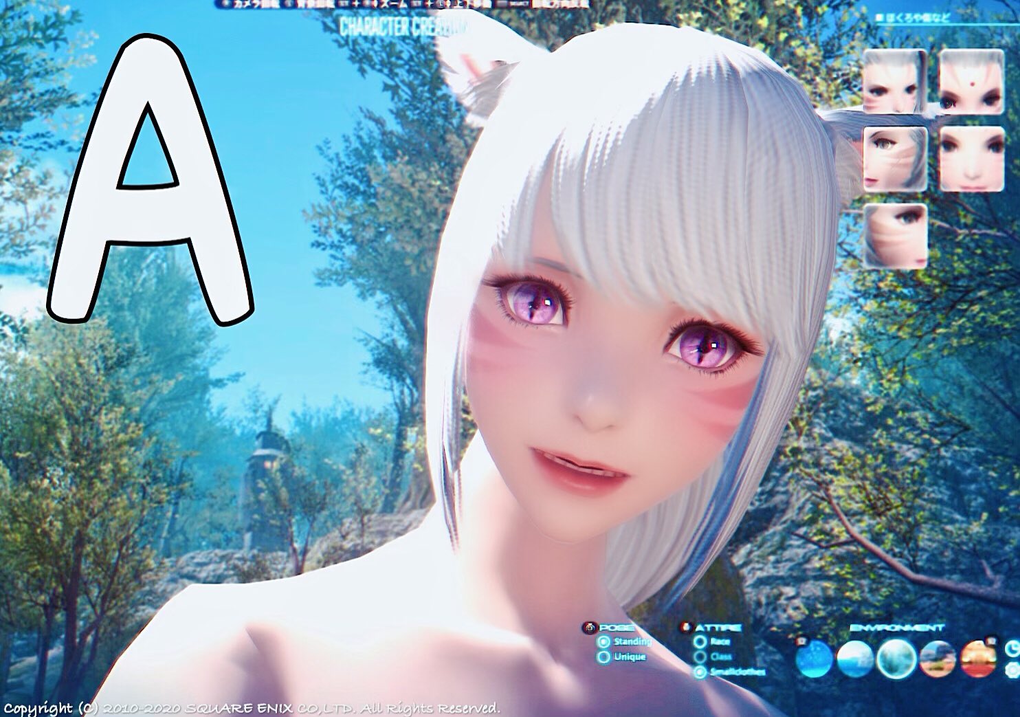 𝚅𝚎𝚛𝚁𝚒𝚞𝚂 出産まで73𝔻𝕒𝕪 この4つのキャラクリに絞りましたので 最終アンケート取らせてください 心優しい方 よければ投票お願いします ﾟ A ゆるふわ白ミコッテ B 可愛い系黄緑目アウラ C オッドアイクール系アウラ D お人形系
