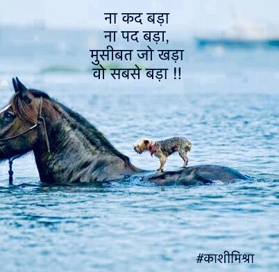 hindhindukaashi's tweet image. ना कद बड़ा
ना पद बड़ा
मुसीबत जो खड़ा
वो सबसे बड़ा !

😊एक दूसरे की मदद के लिए आगे आना ही हमारा धर्म है! एकता में ही अखंडता है!🙏🏻

👉🏻तुम मदद नहीं करोगे तो वो गले में क्रॉस डाले मदद के लिए पहुँच जाएँगे! 

#जागो_हिंदू
#AntiConversion 
#OfferHelpBeforeMissionariesDo

@DrKumarVishwas