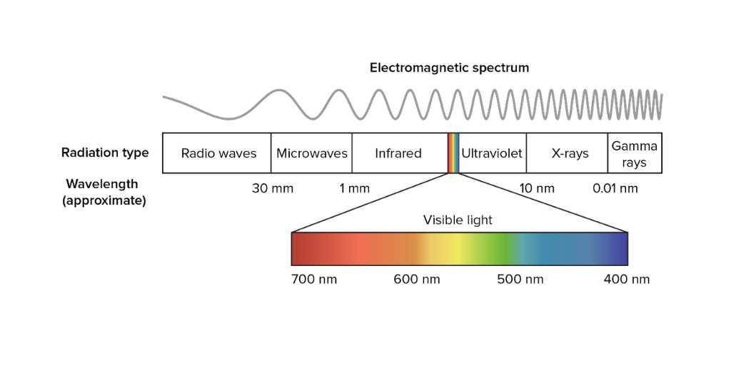 Волн 1 схема. Wavelength Spectrum. Wavelength visible Light. Electromagnetic Spectrum. NM длина волны.