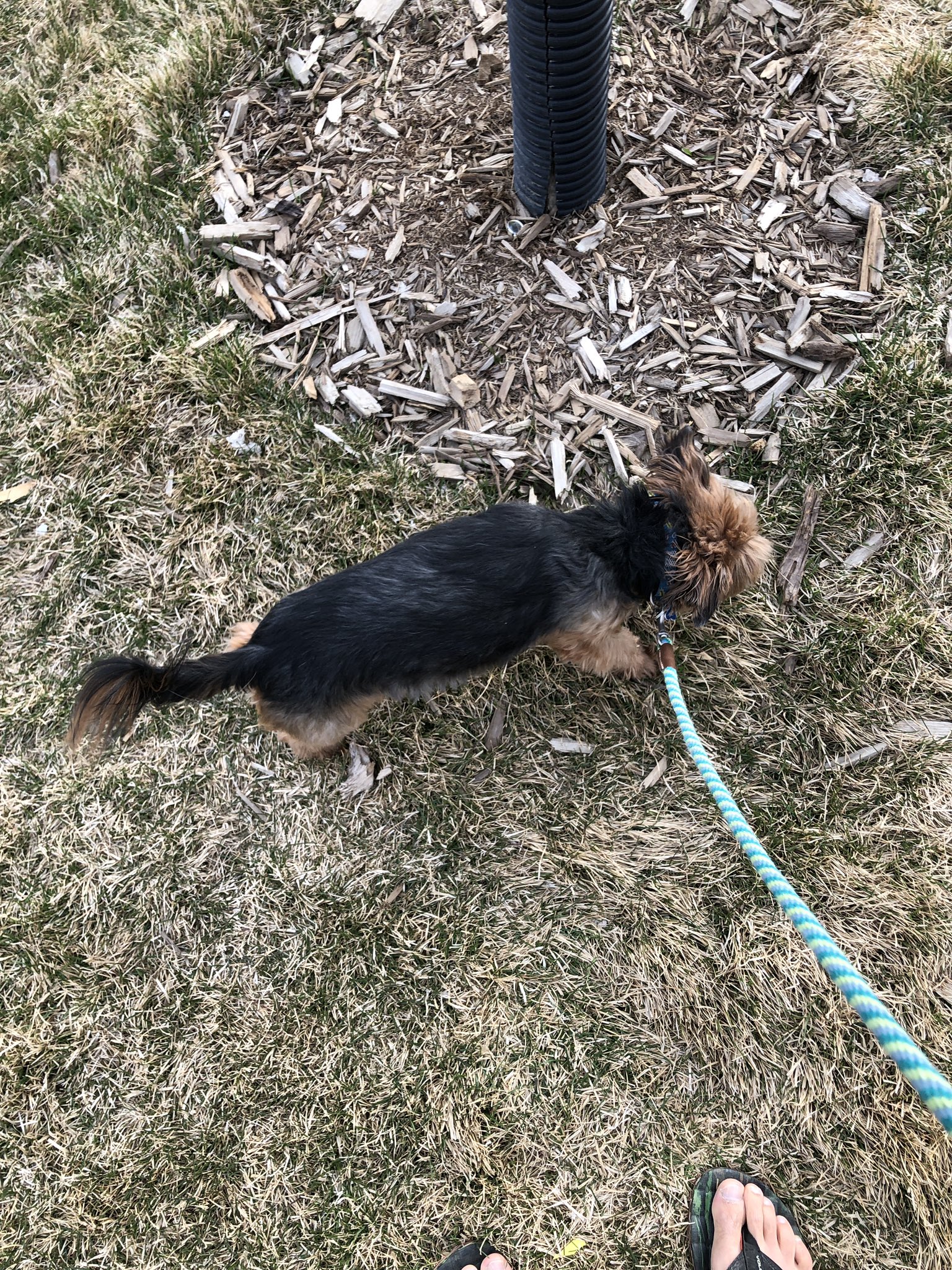 Brian Reed on Twitter: