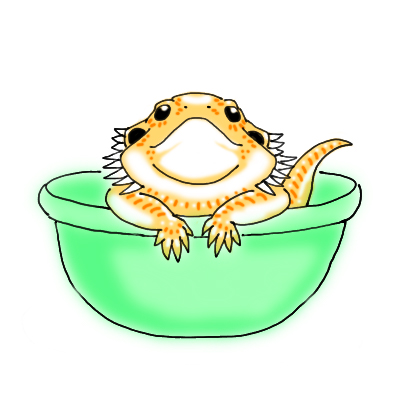 Eno トカゲのイラスト描いてみました フトアゴヒゲトカゲ トカゲ 爬虫類 イラスト 洗面器 可愛いと思ったらrt