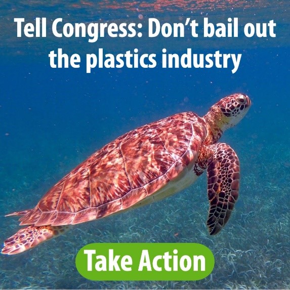 Tell Congress not to bail out the #plastics industry: wp.me/p7prle-4Lp @PennEnvironment #protectmarinewildlife