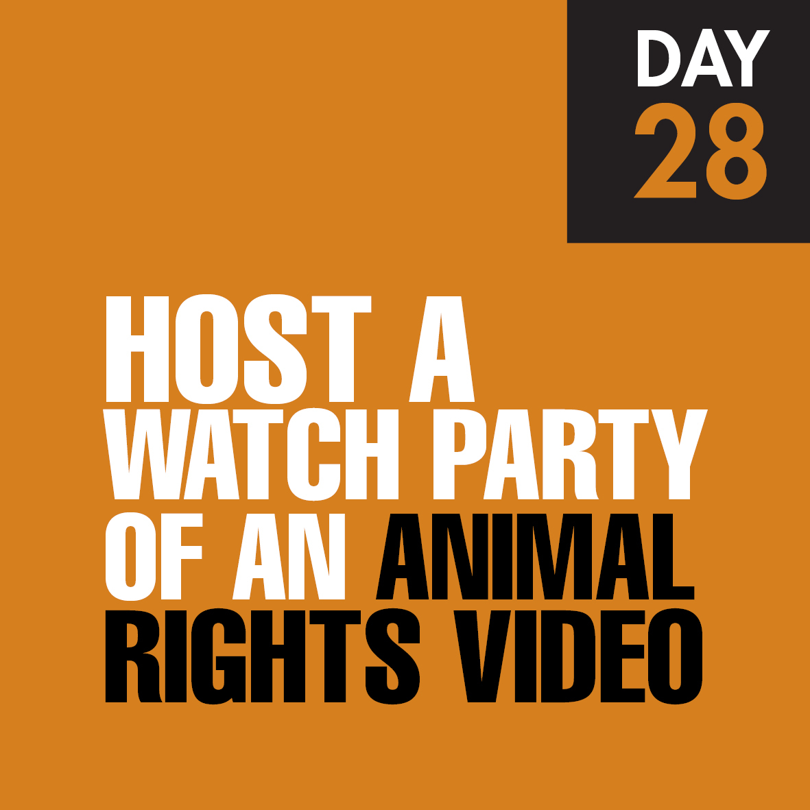 TheSaveMovemen1's tweet image. Will you take the challenge? Day 28
 #foodsystemchange #switchtoplantbased