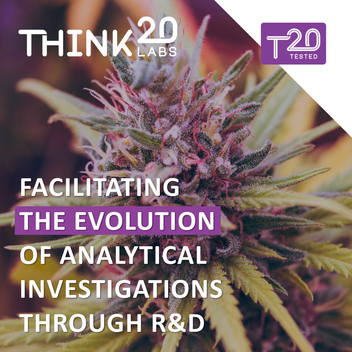 Think20 Labs tweet media