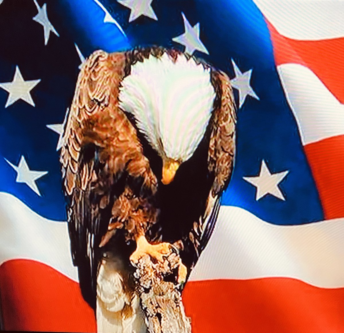 Stewies_Beeach's tweet photo. FUCK YOU TWITTER!!! FUCK YOU TWITTER! FUCK YOU TWITTER!!!🖕🏼🖕🏼🖕🏼🇺🇸🇺🇸🤮 https://t.co/tqwH4krKzT