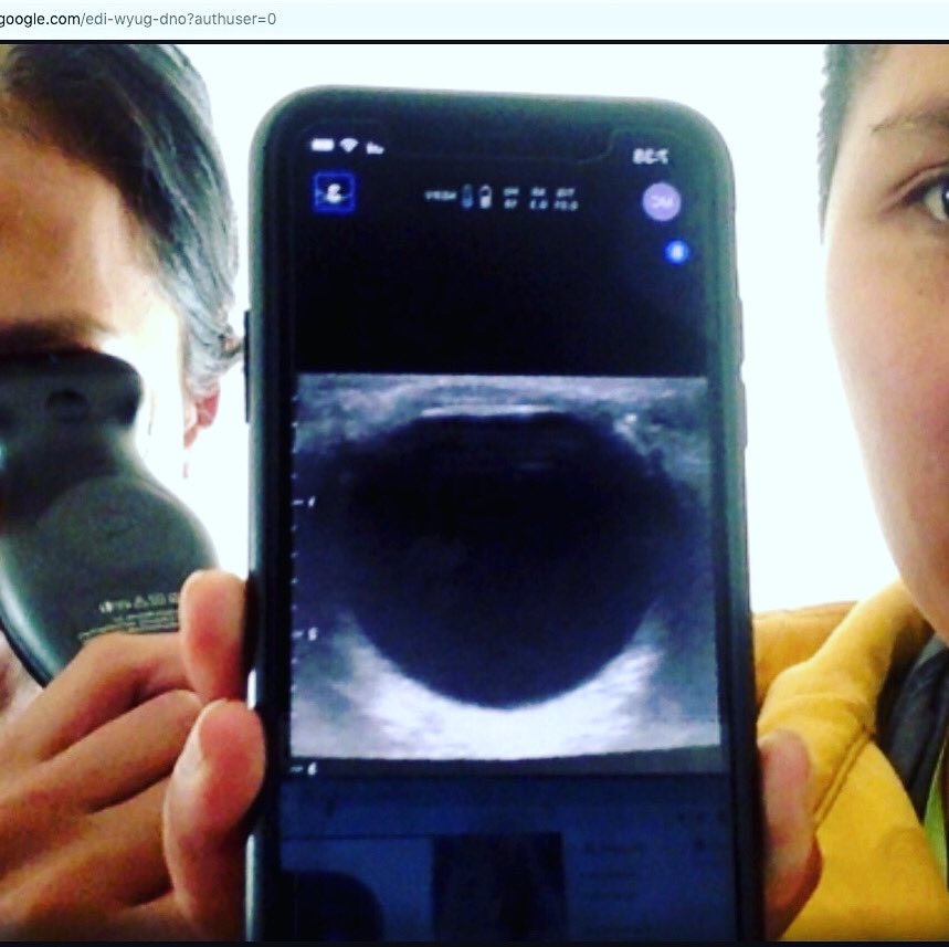 GusiPocus's tweet photo. Helping out middle school science teacher with a little #POCUS virtual show and tell. “Eeeeeew... that’s so cool!” #medicinemadefun @ButterflyNetInc @sonoramos @FMultrasound https://t.co/obfaGL7qR7