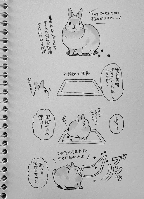 今日のぽぽにっき 