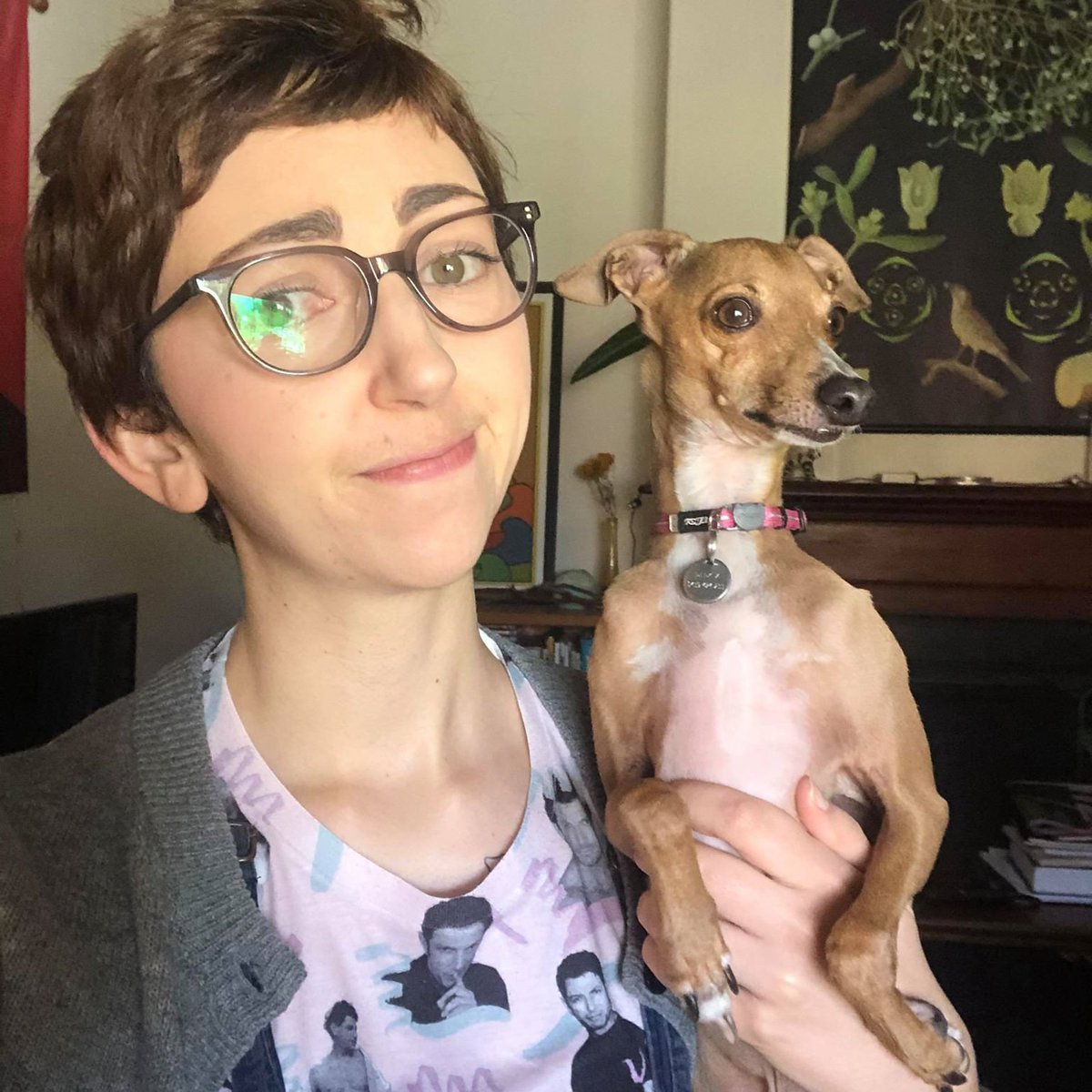 My work buddy Percy on high alert due to restructures being snuck through by universities under the guise of COVID-19. Stay vigilant! Never back down! Fight to preserve pay and conditions, and recognise the shared interests of casual and ongoing staff in this struggle