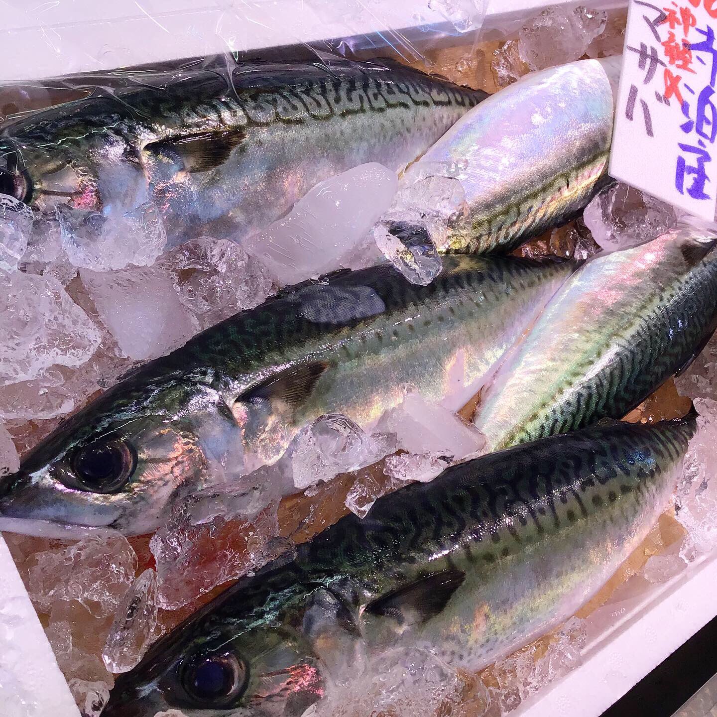 あるるんの海 公式 あの神経締めで有名な寺泊の 寺神 から新鮮な真サバ入荷しております 鮮度の違いをお確かめください あるるんの海 公式 あの神経締めで有名な寺泊の 寺神 から新鮮な真サバ入荷しております 鮮度の違いをお確かめください