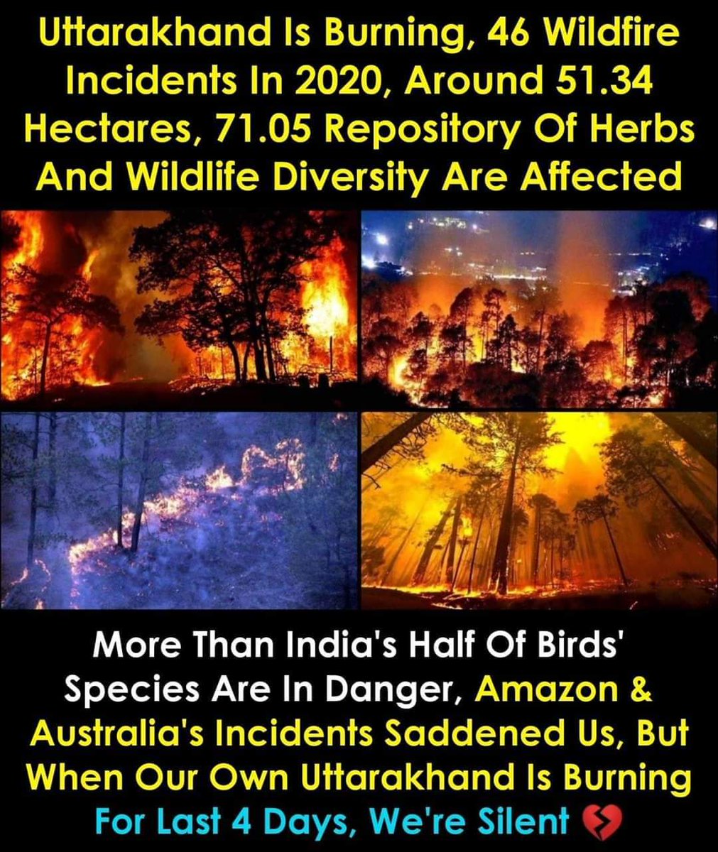 It's nt Amazon that's why it's nt in news.. Right!! #uttarakhandwildfire 
#UttarakhandForestFire U will nt see any post or instastory about it!!