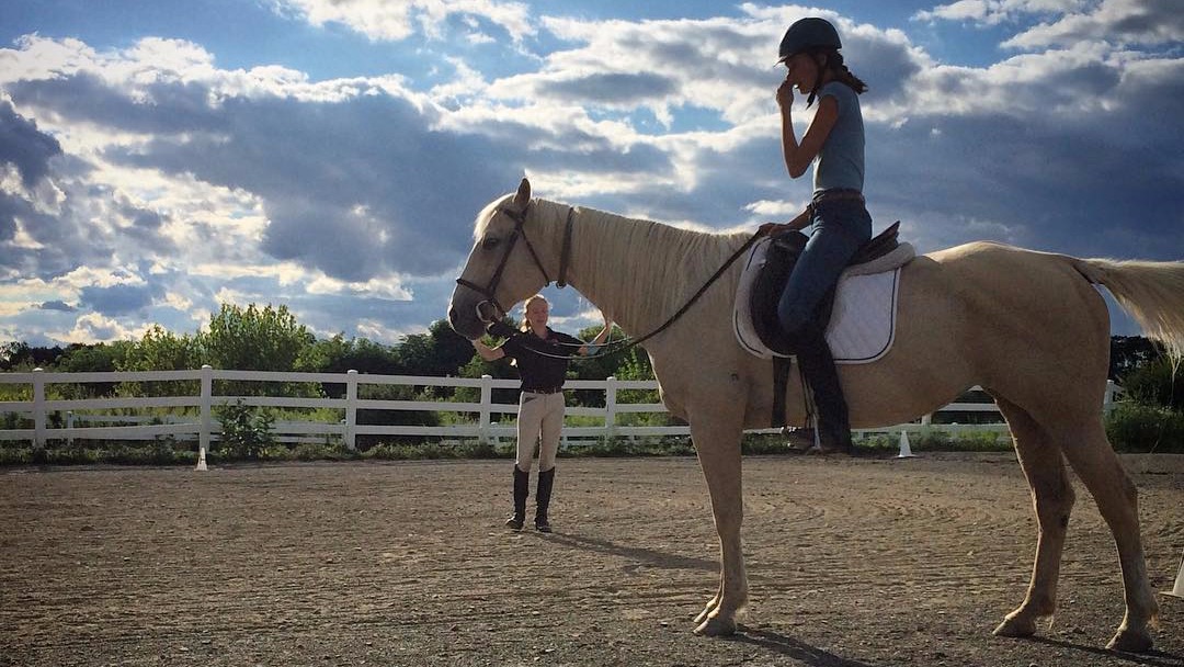 Painted Bar Stables tweet media