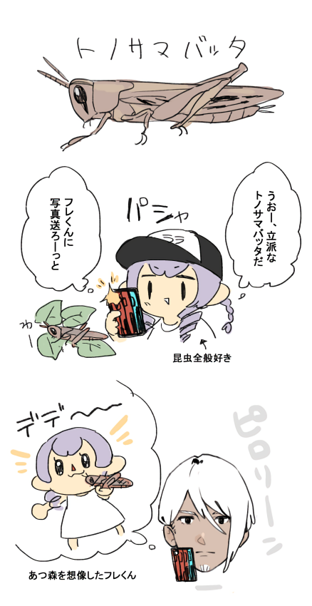 トノサマバッタは環境によって体の色が変わるらしー #昨日のちょこさん 
