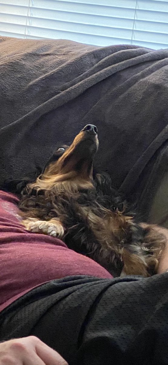 fortheboospod's tweet photo. When you realize how terrible humanity is but you love listening to podcasts about it. https://t.co/CRfzaT2AT7