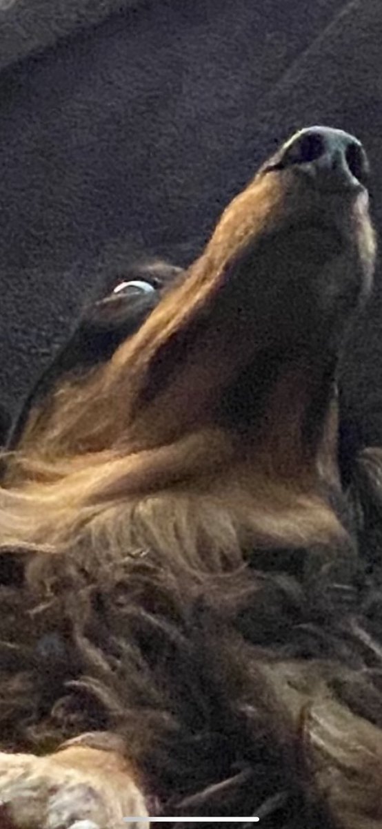 fortheboospod's tweet photo. When you realize how terrible humanity is but you love listening to podcasts about it. https://t.co/CRfzaT2AT7