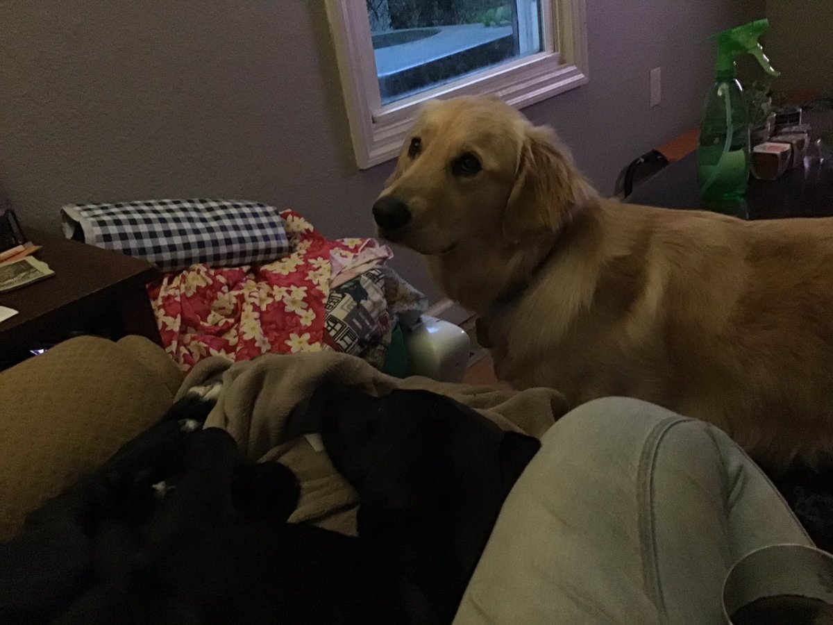 Lindy but it’s June 🏳️‍🌈 tweet media