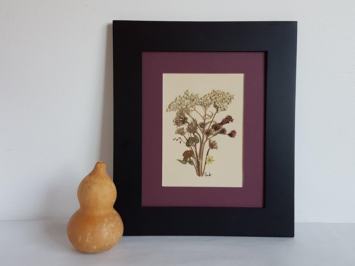 bare_flower's tweet photo. Pressed flower artwork 8x10 matted ORIGINAL made w/ real dried flowers #Wildplant #artwork #wildflowers #pressedflowers #Herbariumspecimen #Botanical #etsy #pressedflowerartwork #botanicalart  #flower #flowers #housewares #flowerlover #weedsandwildflowers  https://t.co/DzxVNuqwV7 https://t.co/gp9E8evlxm