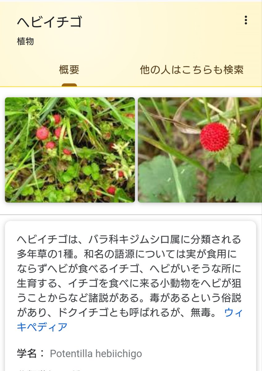 柚子湯 安田講堂前荒れてんなーと思ったら野イチゴまでできてて笑ってしまった 柚子湯 安田講堂前荒れてんなーと思ったら野イチゴまでできてて笑ってしまった