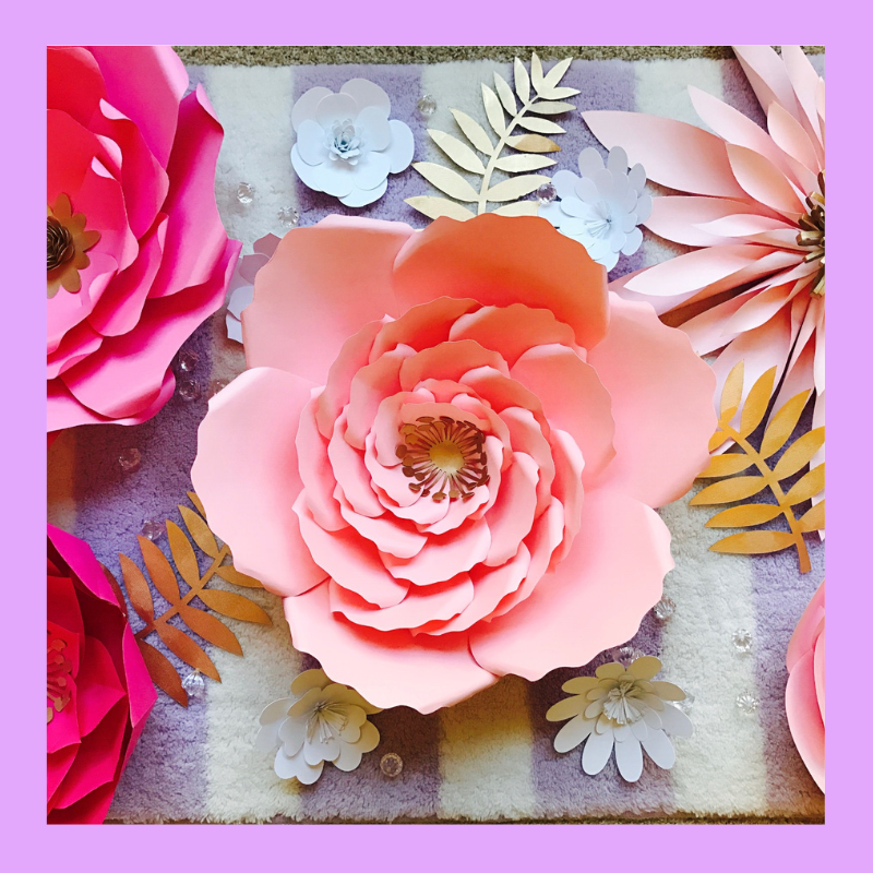 craftworm's tweet photo. Flowers don’t worry about how they���re going to bloom. They just open up and turn toward the light and that makes them beautiful.” – Jim Carrey

#quoteoftheday #thoughtfulthursaday #throwbackthursday #flower #paperflowerset #bunchofflowers https://t.co/m8ihEVXyJT