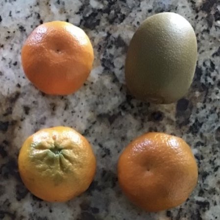 janaki_aleena's tweet photo. Which one doesn’t belong? Student creations.
#KMathAtHome #wodb #mathwithmeMN https://t.co/YiJd9e0iBn