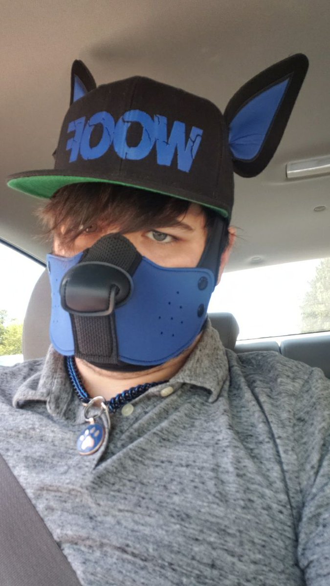 PupSmokey1's tweet photo. Bork bork the hoomans been good to Smokey and @ido_pup!!
We been wearing our MistrPup muzzles and hats out in public and been warmly received. Reactions far and wide and honestly fun! #puppyplay #gaypup #mistrpup #PupSmokey #LGBT https://t.co/isScSRrclk