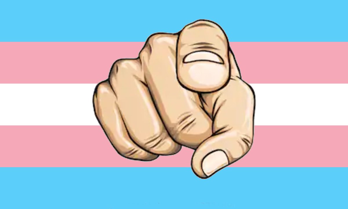 favlovestrans's tweet image. YOU love trans people :)