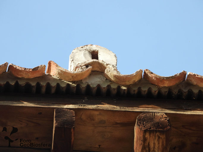 ForoGeobiosfera's tweet photo. Actuaciones de #rehabilitaciónambiental en una casa asentada sobre la #muralla de #Segovia. Resultado de la divulgación de #ForoGeoBiosfera en el marco de los denominados Domingos de #Patrimonio de Segovia. 
https://t.co/fsRM7aRxPG   #Swifts #Environmentalrehabilitation #nest https://t.co/BZoiW1agKQ
