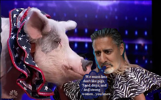bloodyleftis's tweet photo. We mozzies -same as leftis - don't like pigs, dogs, and stubborn, strong women,  you know,  - and criticizing mozzies on state broadcasting (usually we criticizing conservatives 24 hrs) is a gross offence. 
We just converted leader @Siv_Jensen_FrP @HRSnorge
@Lykten_no @resettno https://t.co/sjzlp179i2