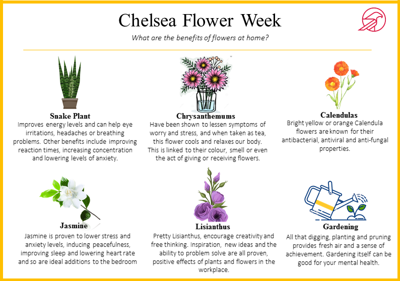 Castconsultancy's tweet photo. Chelsea Flower Week - Here are some great plants to have at home and the benefits! #castcontribution #chelseaflowerweek https://t.co/ftteeRCKOT