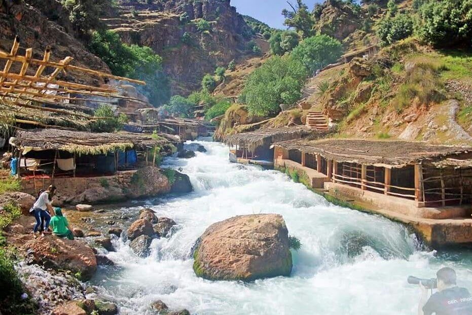 أسعد الله صباحكم بكل خير اصدقائي
صورة من منابع نهر أم الربيع خنيفرة