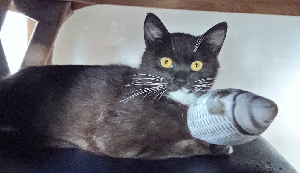 누가 그렇게 귀엽게 인형 안고 있으랬지요