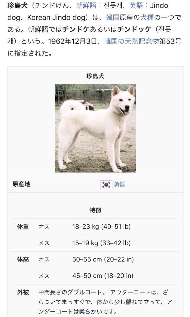 Kanemoto S 30 ワン 日韓 珍島犬 チンドけん は 韓国の天然記念物53号 柴犬似 市民からサムスンの会長 大の犬好き ヨン様まで 幅広く愛されてます 現在アメリカの警察犬でも活動 随分昔 Samsungの会長が 長島茂雄元監督に珍島犬を 贈ったそう Kanemoto S 30 ワン 日韓 珍島犬 チンドけん は 韓国の天然記念物53号 柴犬似 市民からサムスンの会長 大の犬好き ヨン様まで 幅広く愛されてます 現在アメリカの警察犬でも活動 随分昔 Samsungの会長が 長島茂雄元監督に珍島犬を 贈ったそう