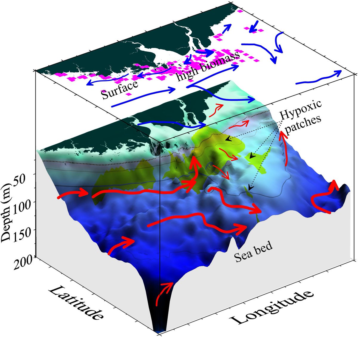 FPappenberger's tweet photo. #ERAInterim of @ECMWF used to investigate Phytoplankton Production and Hypoxia in the Changjiang (Yangtze River) Estuary - article reports use of freshwater 🍉🔫fluxes from reanalysis: how did they compare to obs? https://t.co/dw6exBUtpg @marta_imm @IMEDEA_UIB_CSIC https://t.co/QnvKW0vJXL