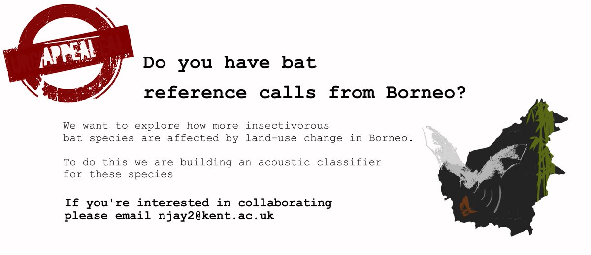 5/5 #WBTC1 #BatLand2 We will be answering more questions about how Borneo's bats are affected by #landusechange so please stay tuned for PhD updates 😁And a massive thank you to those who've already contributed!
researchgate.net/profile/Natali… 
#bioacoustics #conservation