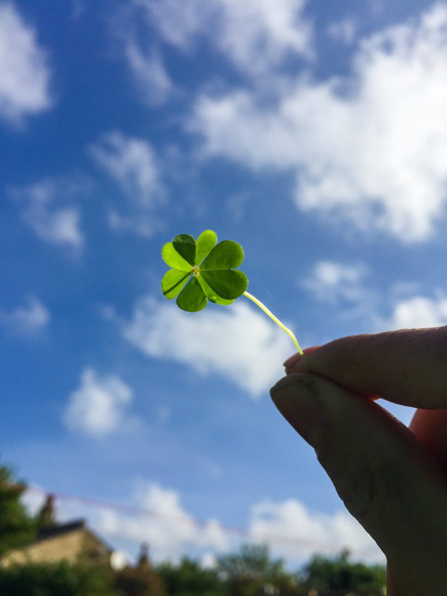 HidekoKawa's tweet image. Good morning everyone ☀️ I would love to share my finding with you🍀Have a lucky day 💖#fourleafclover #goodluck 
instagram.com/p/CAuYBByHdMl/…