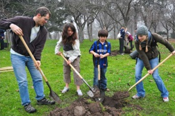 Schools and Community groups within the UK can apply for #grants of between £300 and £1,500 to get communities and young people up to the age of 21 involved in tree and hedge planting and care during National Tree Week – 28 November to 6 December 2020. grantsonline.org.uk