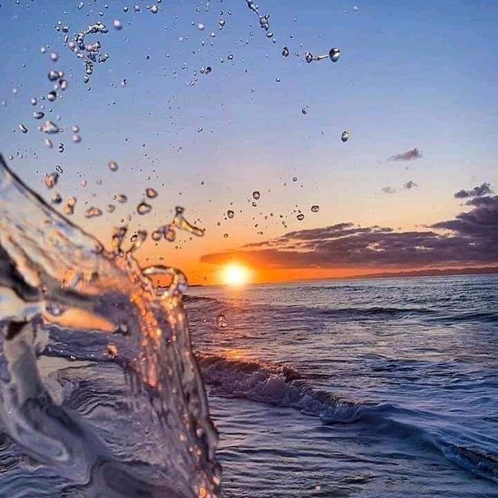 Ali Free tweet media