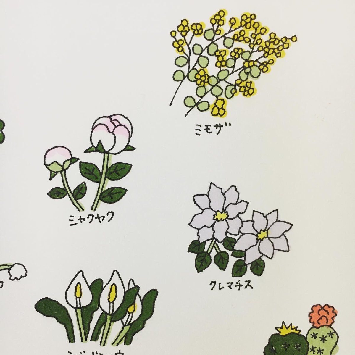 朝野ペコ ペコやむ配信 ご視聴頂きありがとうございました 今回は植物がテーマでした たくさんリクエストも頂けて助かりました インスタの方に動画も残しております Yamyamさん Yamyamkikaku のモノクロ表現 めちゃくちゃかっこいいのでぜひ見て頂き
