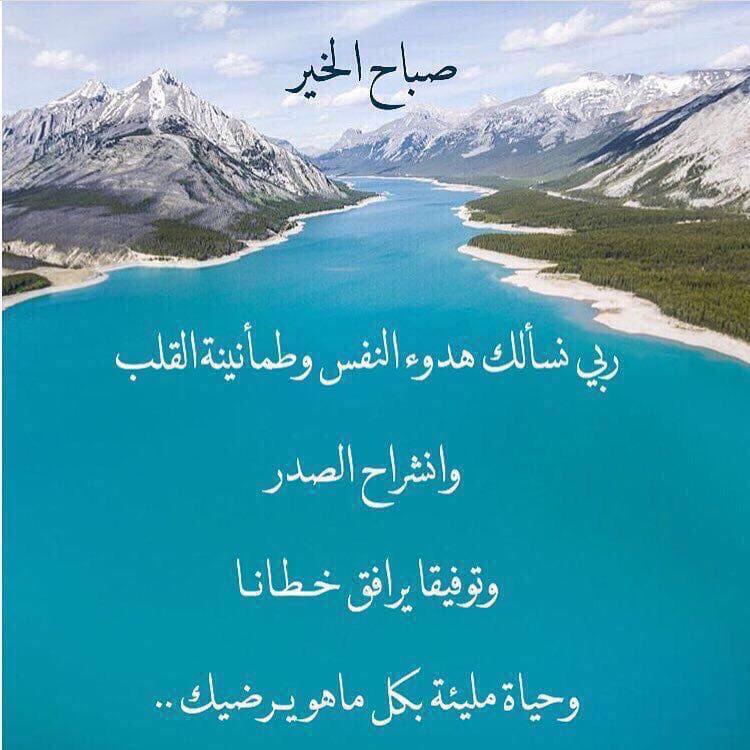 1950_came's tweet photo. https://t.co/XqaNTl15Ru