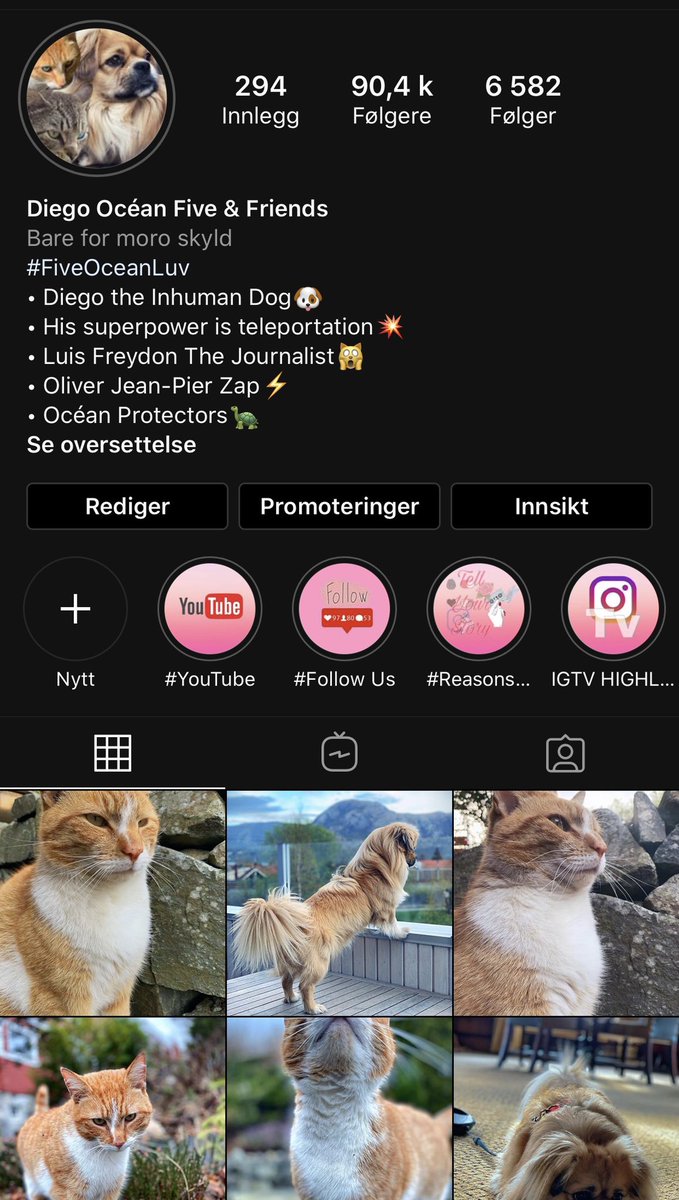 diegooceanfive's tweet photo. Do you Follow us on #Instagram ?
https://t.co/FAQKeAVmXH
Obviously you missed out on the greatest page as usual and I don’t even blame you😹 #hatethealgorithm not the the #follower 😹 ...
Anyway come on now, stop yapi yapi and more followi followi😹
Sorry if I’m to cute🤣 https://t.co/oUu1c4GSxd