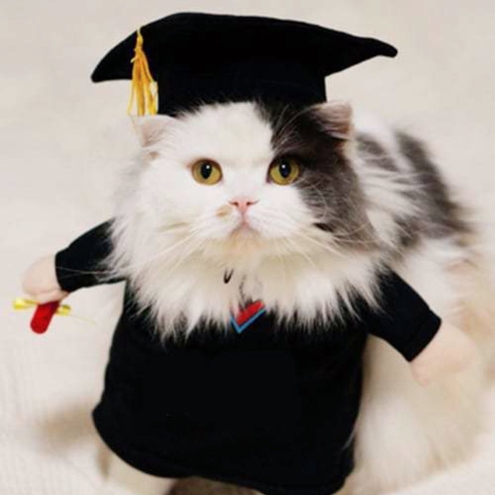 kittenhwang_'s tweet photo. 졸업생 🐱🎓 https://t.co/Kooakpzq5c