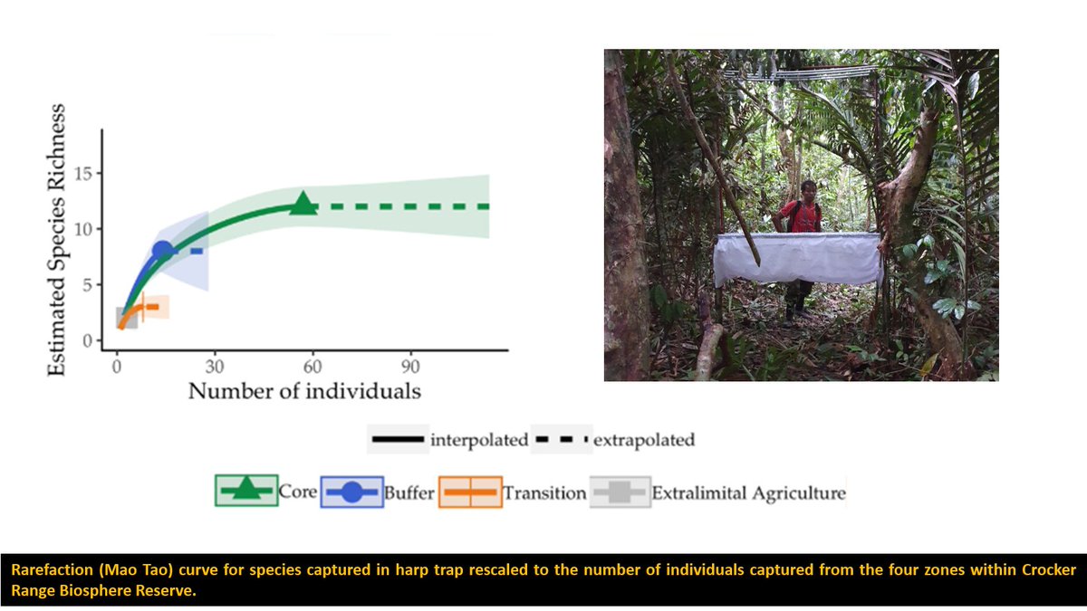 2/5  #WBTC1  #Conserve3 We captured 30  species. 23/30 species were exclusively captured in the forested zones (core and buffer). Capture using harp trap was greater in forested zone (core & buffer). Mist net captures was greater in transition and extralimital.